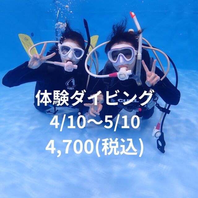 こんにちは
静岡市のダイビングショップブルーコーナーです。

新年度が始まり
何か新しい事にチャレンジしたい人
ダイビングにチャレンジしてみませんか?

まずは気軽に3時間で出来る体験ダイビングは
いかがでしょうか?

5/10までキャンペーンを実施しております。

詳しくはブルーコーナーブログでご確認下さい。

https://bluecorner.co.jp/%e3%83%97%e3%83%bc%e3%83%ab%e3%81%a7%e4%bd%93%e9%a8%93%e3%83%80%e3%82%a4%e3%83%93%e3%83%b3%e3%82%b0-4/

 #体験ダイビング #静岡ブルコーナー #静岡市ダイビングショップ #ダイビングプールのあるお店 #静岡県立大学ダイビングサークル #東海大学ダイビングサークル #静岡大学ダイビングサークル #常葉大学ダイビングサークル#ダイビングサークル
#静岡ダイビングサークル