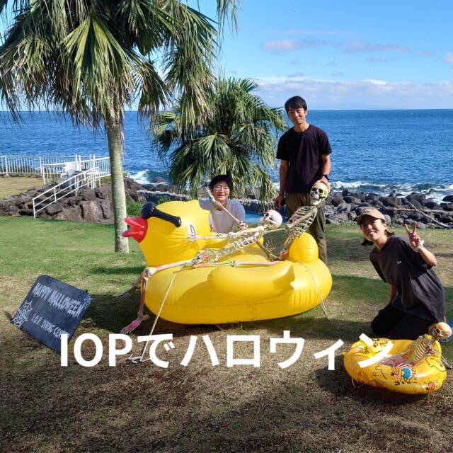 海洋公園のハロウィンに行ってきました～🧟‍♀️
水中も陸上も楽しい1日でした😆

https://bluecorner.co.jp/%e6%b5%b7%e6%b4%8b%e5%85%ac%e5%9c%92%e3%81%a7%e3%83%8f%e3%83%ad%e3%82%a6%e3%82%a3%e3%83%b3/

 #海洋公園 
 #海洋公園ハロウィン 
#静岡市ダイビングショップ
#ブルーコーナー
#静岡ダイビングサークル
#体験ダイビング
#静岡ダイビング
#静岡ダイビングライセンス
#静岡ダイビングスクール
#静岡シュノーケリング
#静岡スノーケリング
#静岡ダイビングショップ
#静岡市ダイビングショップ