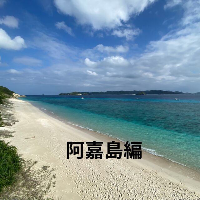 沖縄那覇編につづき、今日は阿嘉島編✨
海も陸も最高でした😁

https://bluecorner.co.jp/%e6%85%b6%e8%89%af%e9%96%93%e3%83%bb%e9%98%bf%e5%98%89%e5%b3%b6/

#沖縄ツアー
#慶良間阿嘉島
#ブルーコーナー
#静岡ダイビングサークル
#体験ダイビング
#静岡ダイビング
#静岡ダイビングライセンス
#静岡ダイビングスクール
#静岡シュノーケリング
#静岡スノーケリング
#静岡ダイビングショップ
#静岡市ダイビングショップ