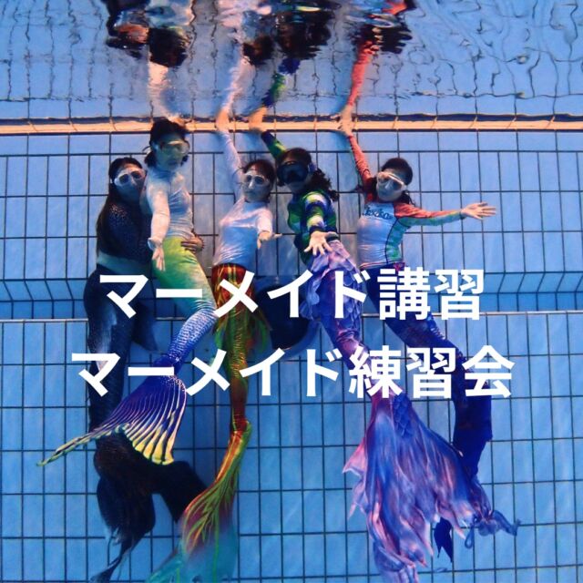 11/13・11/14はマーメイドコースにマーメイド練習会🧜‍♀️
新しいマーメイドさんも仲間入りして楽しい2日間でした😆

https://bluecorner.co.jp/%e3%83%9e%e3%83%bc%e3%83%a1%e3%82%a4%e3%83%89%e4%b8%89%e6%98%a7/

#padiマーメイド
#padiマーメイドライセンス 
#マーメイド
#ブルーコーナー
#静岡ダイビングサークル
#体験ダイビング
#静岡ダイビング
#静岡ダイビングライセンス
#静岡ダイビングスクール
#静岡シュノーケリング
#静岡スノーケリング
#静岡ダイビングショップ
#静岡市ダイビングショップ