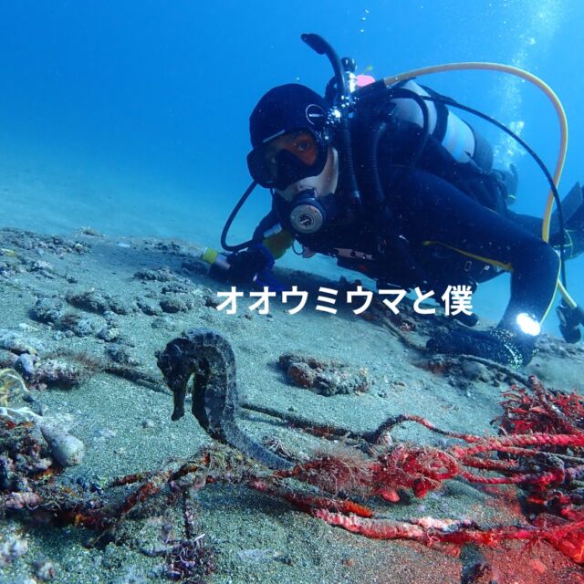 前日富戸が潜水禁止
風も北東予想だったので
黄金崎に行ってきました。

前日の黄金崎イベント芋煮会の
鍋が残っていたので図々しく2杯頂いてしまいました

海の様子はブログをご覧ください

https://bluecorner.co.jp/%e9%bb%84%e9%87%91%e5%b4%8e2%e3%83%93%e3%83%bc%e3%83%81-7/

#黄金崎ダイビング
#タツノオトシゴダイビング
#新年会ダイビング
#ブルーコーナー
#静岡ダイビングサークル
#体験ダイビング
#静岡ダイビング
#静岡ダイビングライセンス
#静岡ダイビングスクール
#静岡シュノーケリング
#静岡スノーケリング
#静岡ダイビングショップ
#静岡市ダイビングショップ