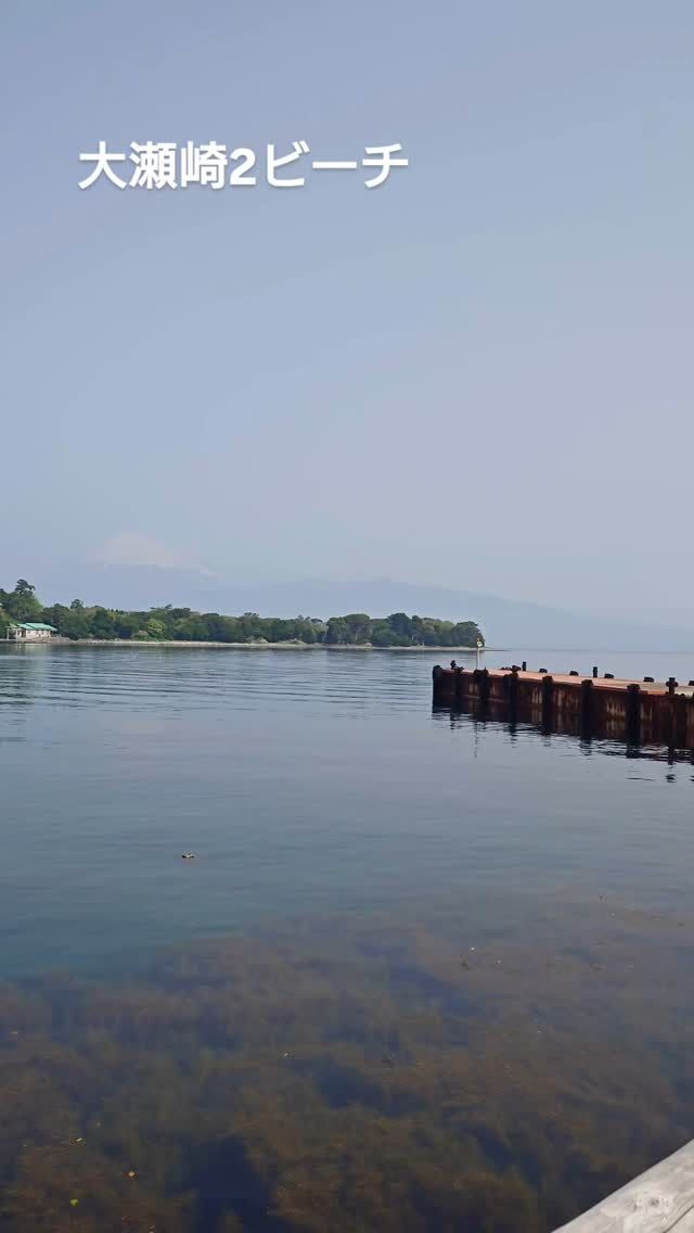 4/19大瀬崎2ビーチ行ってきました✨
晴れて穏やか！講習日和な1日😁

アオリイカの産卵やホシフグの小群れ、
カエルアンコウ大小各種🤣
ホウボウ、イワシを追いかけるウミウなどなど

いろんな魚に囲まれて、
オープンウォーター講習とドライスーツスペシャルティ講習
ちゃんとスキル頑張りました👍

これから水温も少しづつ上がってきて、
潜りやすくなってきます✨
講習も随時受付中ですので、お気軽にお問い合わせください！

#静岡ブルーコーナー 
#静岡ダイビング 
#大瀬崎 #大瀬崎ダイビング 
#ダイビングライセンス 
#ダイビングすきな人と繋がりたい 
#ダイビング初心者 
#ホシフグ #アオリイカ