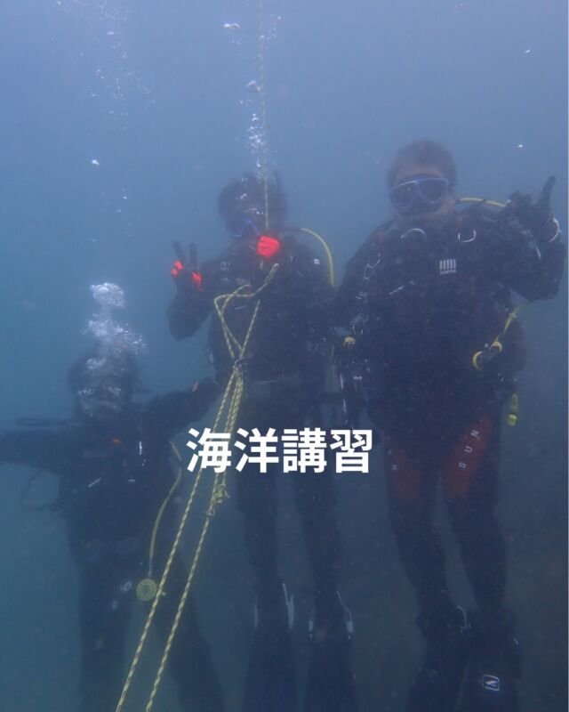 昨日は平沢で潜ってきました
海況は凪
水温　18～19度
透明度　10ｍ前後
　
PADIオープンウオーターの一日目ですが
ブルーコーナーの講習は4日かかります
1日目　プールで限定水域スキルと学科
2日目　プールでドライスーツ講習と学科
　ドライスーツの浮力・インナーを着たときのウエイト量チェック
　もできます

そして本日がOWの一日目です

ドライスーツで潜った事ない方は是非
ドライスーツプール講習にご参加ください

#静岡ダイビングショップ
#静岡ブルーコーナー
#静岡ダイビング
#ダイビング
#ドライスーツ 
#ダイビングショップ
#ブルーコーナー
##ドライスーツお預け 
#ダイビングプール
#ドライスーツ講習