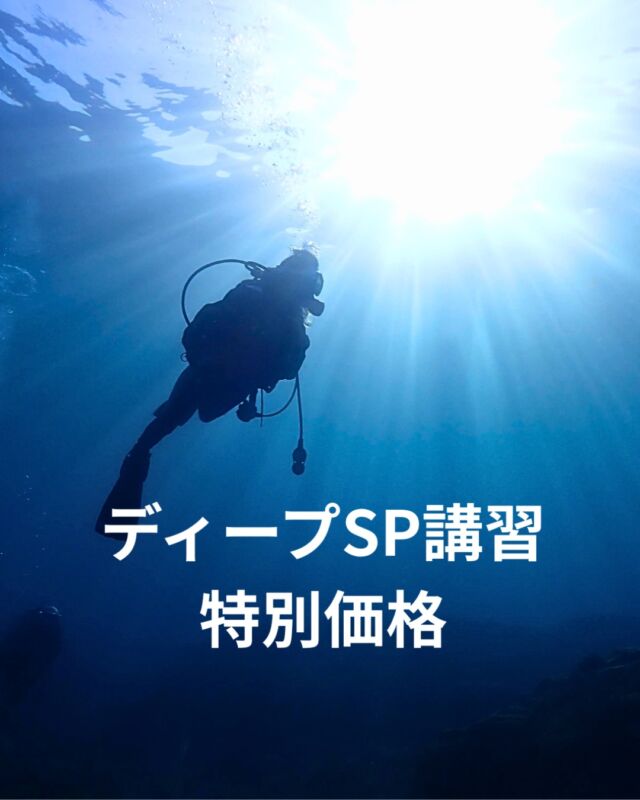 冬季限定!特別キャンペーン実施中
12月・1月にディープスペシャルティ講習を
受講される方を対象に、特別価格でご案内いたします!

6月に沖縄の沈船
エモンズにツアーを計画しております

まずはディープの講習が必要となります

詳しくは下記ブルーコーナーブログをご覧ください

https://bluecorner.co.jp/%e3%83%87%e3%82%a3%e3%83%bc%e3%83%97%e3%83%bb%e3%82%b9%e3%83%9a%e3%82%b7%e3%83%a3%e3%83%ab%e3%83%86%e3%82%a3%e3%82%b3%e3%83%bc%e3%82%b9/

#静岡ダイビングショップ
#静岡ブルーコーナー
#静岡ダイビング
#ダイビング
#ドライスーツ
#ダイビングショップ
#ブルーコーナー
#エモンズダイビング
#沈船ダイビング
#ディープ講習