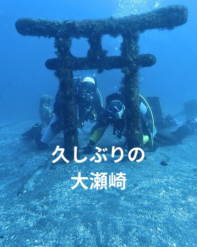 11/30久しぶりに大瀬崎に行ってきました✨

いつもとは違う施設を利用させて頂きましたが、
とても快適でした😊

水温も18～19度でドライスーツがちょうどいいです😆

水中にはクリスマスツリーも入っていて、
いろんな魚に囲まれて、オープンウォーター講習頑張ってきました🐟

無事オープンウォーターダイバーも誕生しました✨
おめでとうございます😆
これからいっぱい潜りましょう！！✨

 #静岡ダイビング 
#ダイビング 
#静岡ダイビングショップ 
#静岡ブルーコーナー 
#伊豆ダイビングツアー 
#大瀬崎