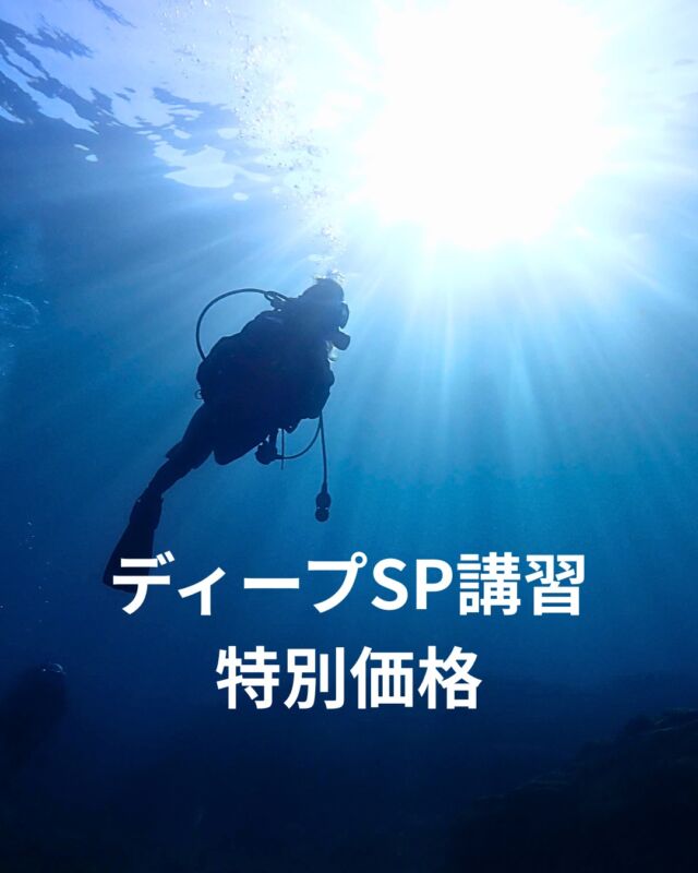 🌊 ディープスペシャルティ講習
冬季限定キャンペーン! 🎉

\ 今だけ5,500円OFF //
通常16,500円 → 11,000円

📅 特別価格は12月・1月限定です！

🏖️ 2026年6月 沖縄エモンズツアー開催決定!
エモンズツアー参加にはディープSPが必須です

深い海にしかない景色、
沈船の迫力、
特別な生物との出会い…
新しい海の世界へ、一緒に潜りませんか?

冬の透明度抜群の海で
スキルアップのチャンス💙

#ディープスペシャルティ 
#ディープSP 
#ダイビングライセンス 
#スペシャルティコース 
#エモンズ 
#沖縄ダイビング 
#沈船ダイビング 
#ダイビング講習 
#スキューバダイビング 
#ダイバー 
#冬ダイビング 
#ダイビング好きと繋がりたい