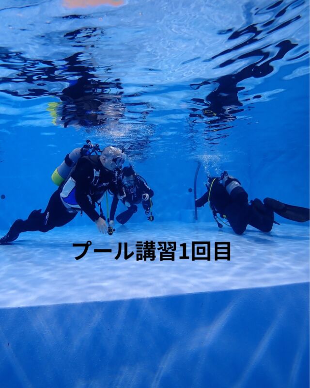 3名のダイビングライセンスコースの
プール講習でした

31度のプールで
5ｍｍウエットスーツを着ていても
3時間入っていると少し寒いです

プール体験・リフレツシュ
ドライスーツのプール講習・体験もやっています

#静岡ダイビング
#ダイビング
#静岡ダイビングショップ
#静岡ブルーコーナー
#伊豆ダイビングツアー
#ドライスーツ 
#静岡体験ダイビング
#リフレツシュダイビング
#ブールでダイビング
#ダイビングライセンス
#伊豆ダイビングツアー