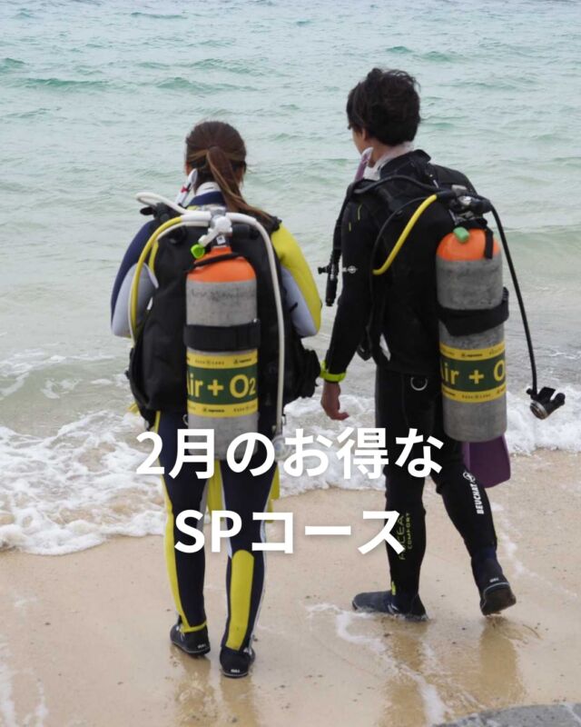2月もお得なSPコース開催します✨

2月はエンリッチドエアーと好評のディープ🐟
エンリッチドエアーSPは学科講習で
取得できるため、ツアー終了後に受講も可能です😆

エンリッチドエアーSP講習開催日は
2/1（土）・2/12（木）・2/14（土）・2/18（水）の
17：00～　1時間半程度です

今年はPADI60周年でいろいろキャンペーンもやっていて、
PADIグッズが当たったり、限定100名でパーカーがもらえるものもやってます✨
Cカードも2月から60周年デザイン😆
特別な1年になりそうです😊

 #ダイビング 
#静岡ダイビングショップ 
#静岡ブルーコーナー 
#ダイビングライセンス 
#PADI