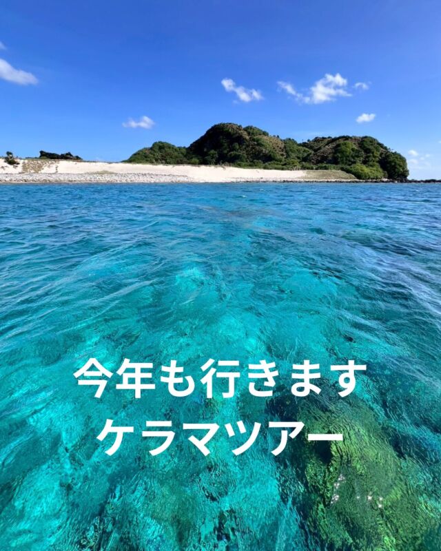 今年も慶良間ツアー開催します✨

10/30（金）～11/2（月）の3泊4日🐟

青い海に白い砂浜での～んびり
まったり潜りませんか？😁

エアチケットを取るため、
お名前が必要になります。

キャンセルチャージは40日前までかかりませんので、
気になる方はとりあえずお申し込みください😆

 #静岡ブルーコーナー 
#静岡ダイビング 
#ダイビング 
#静岡ダイビングショップ 
#ケラマダイビング
#ケラマ
