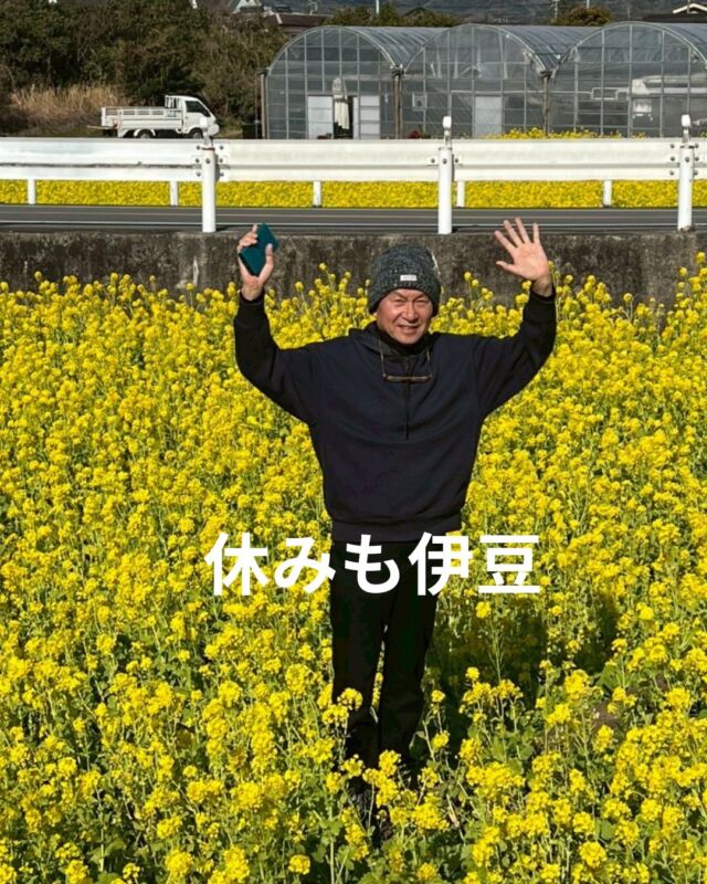 ひさしぶりの定休日
　
河津桜を見に行こうと思ったのですが
午前中雨が降ったりしたので
行きなれた西伊豆松崎を散策してきました
　
潜らない伊豆の休日
　
　
#静岡ダイビングショップ
#ダイビング女子
#静岡ブルーコーナー
#土肥桜
#静岡スノーケリング
#ドライスーツダイビング
#菜の花畑
#松崎