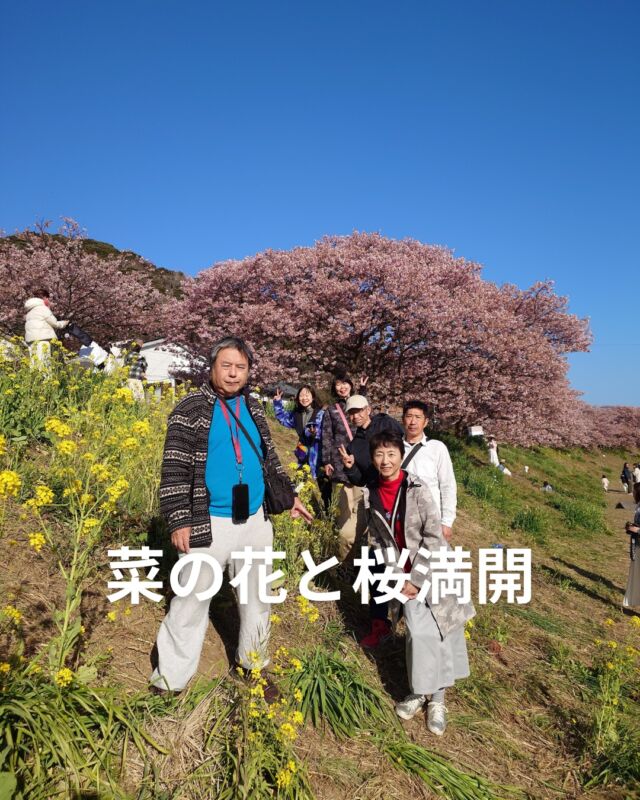 伊豆お泊りツアーいってきました✨

ちょうどみなみの桜と菜の花いいお天気にも恵まれて
のんびりお花見も食べ放題も飲み放題も
ダイビングも楽しみ盛りだくさんツアーになりました😁

海況もほぼ穏やかで、透明度も良く
イサキ・タカベ・キンメモドキなどいろんな群れを
見ることができました🐟

渋滞にはまったり、鍵行方不明事件があったり
ハプニングもありましたが、温泉も散策も観光も
の～んびりできて楽しい連休でした✨

またぜひのんびりツアー一緒に行ってください😆

 #菜の花畑 
#静岡ブルーコーナー 
#静岡ダイビングショップ 
#ダイビング 
#海好き 
#伊豆ダイビング 
#ダイバー 
#桜 
#菜の花 
#中木ダイビング
#伊東ダイビング