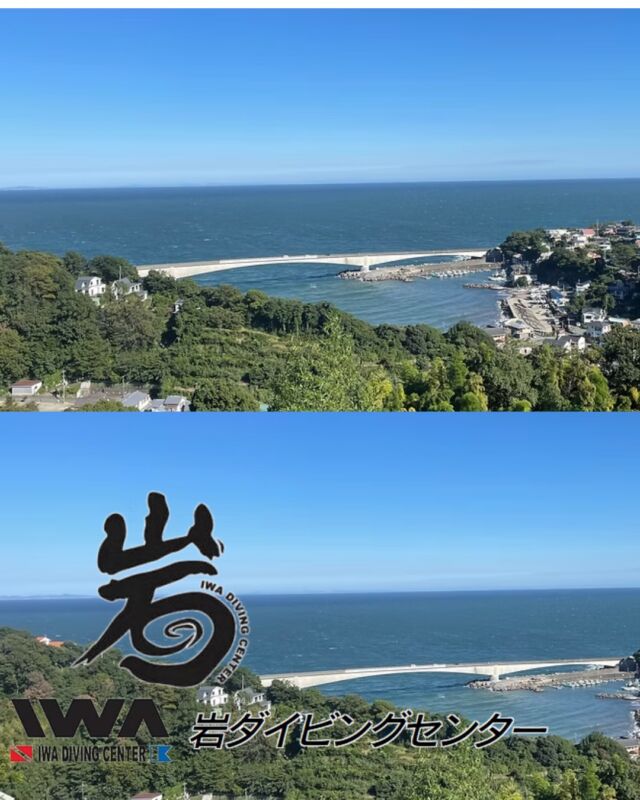 知らない街を 歩いてみたいどこか遠くへ 行きたい
知らない海を潜ってみたい

という事で

3/8(日)は
神奈川県真鶴町の
岩ダイビングセンター様にお邪魔します

ダイビングスタイルは
1ボート1ビーチ

視察料金
22,000円　
昼食1,000円まで含む

限定4名です
お早めにお申し込み下さい

#静岡ダイビングショップ
#静岡ダイビングスクール
#静岡ブルーコーナー
#静岡ダイビングツアー
#静岡スノーケリング
#岩ダイビングセンター
#神奈川ダイビング