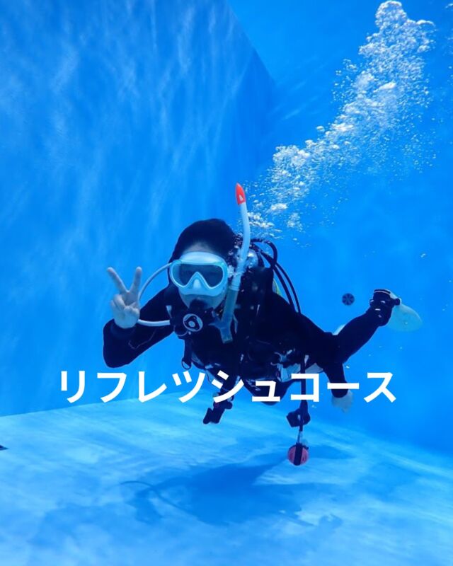 本日のお客様は
25年ぶりのレフレッシュコース

今年からダイビング再デビューです
基本からしっかりやりました

料金と時間
　

リフレッシュコースは
お客様のご都合に合わせた日時で
マンツーマンから
2時間～3時間　自社温水プールで行います

料金は税込み9,900円
器材のレンタル代など全て込み

用意して頂くのは水着とタオル
ドライの場合はインナーです

ラインから気軽にお問合せ下さい

#静岡ブルーコーナー
#ダイビングリフレツシュ
#久しぶりのダイビング
#ダイビング器材のつけ方
#ダイビングプール練習