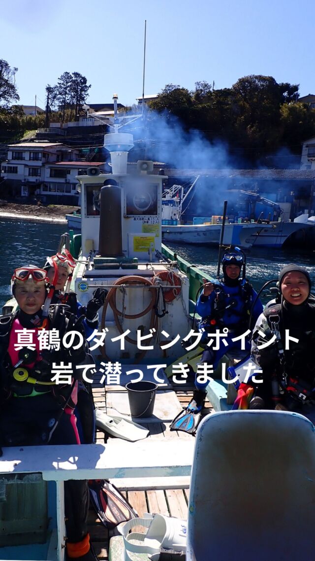 真鶴のダイビングポイント岩に行ってきました

水温14～15度
透明度15メートル
ありました

ソフトコーラルが見事で魚も多かったですが

夏は凄いよ
とサービスの方が言っていました

是非レギラーポイントとして
今後もツアー組んでいきます

#静岡ダイビングショップ
#静岡ダイビングスクール
#静岡ブルーコーナー
#静岡ダイビングツアー
#静岡スノーケリング
#岩ダイビングセンター
#神奈川ダイビング