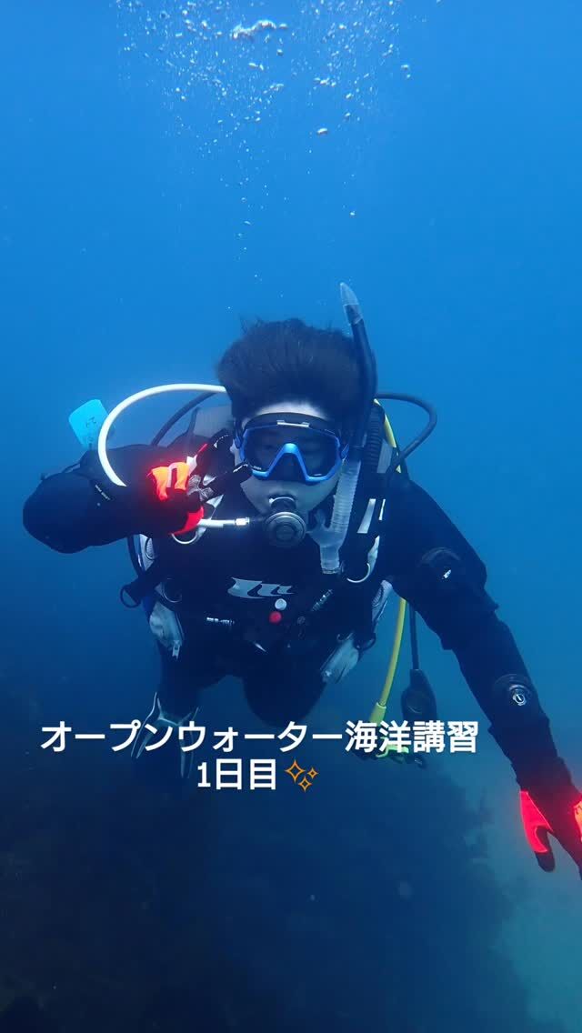 オープンウォーター、海洋講習1日目✨

平沢で楽しく頑張ってきました😁

プールでしっかり練習してきたので、
海では確認👍
ボラクーダやサルパがいっぱい見れて、
楽しく潜れました😆

平沢の海況は透視度10〜12
水温は15.7度
今日は陸上が暖かかったです☀️

次回の海洋講習も楽しく頑張りましょう✨
ダイバーまであとちょっと😁

#静岡ダイビングショップ 
#静岡ダイビングスクール 
#静岡ブルーコーナー 
#静岡ダイビング 
#ダイビング