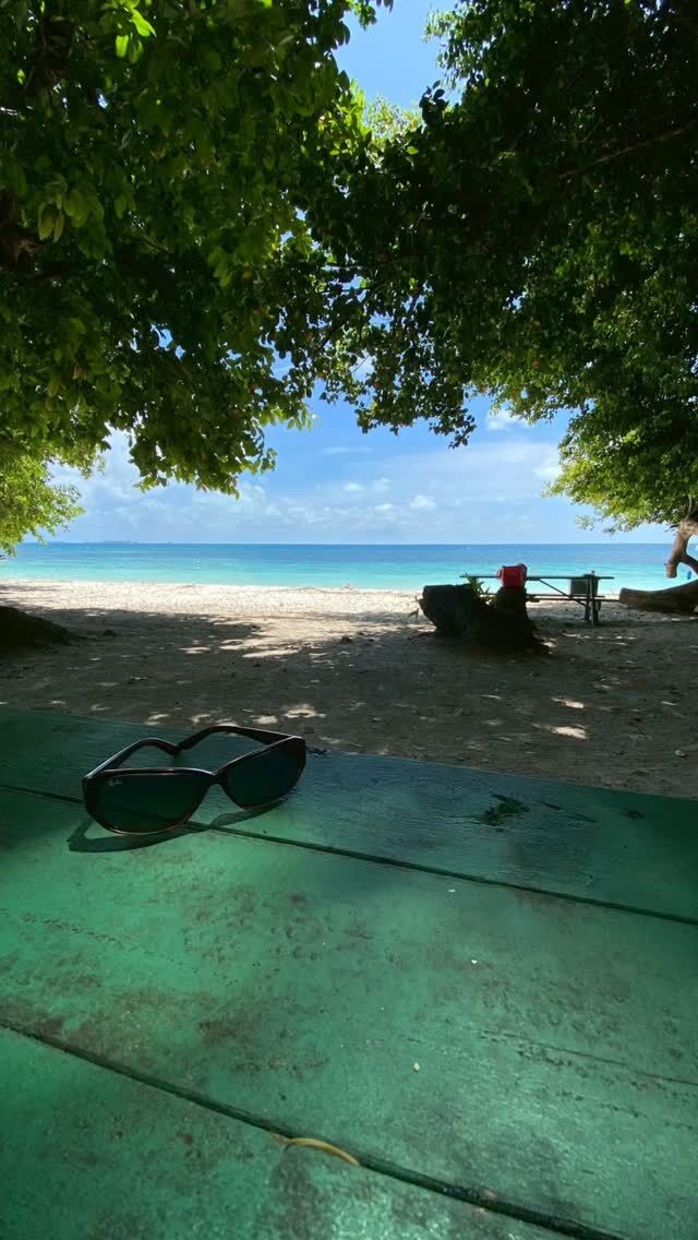 パラオツアー報告
一回目のご報告です

#静岡ダイビングショップ 
#ダイビング
#パラオ 
#パラオダイビング