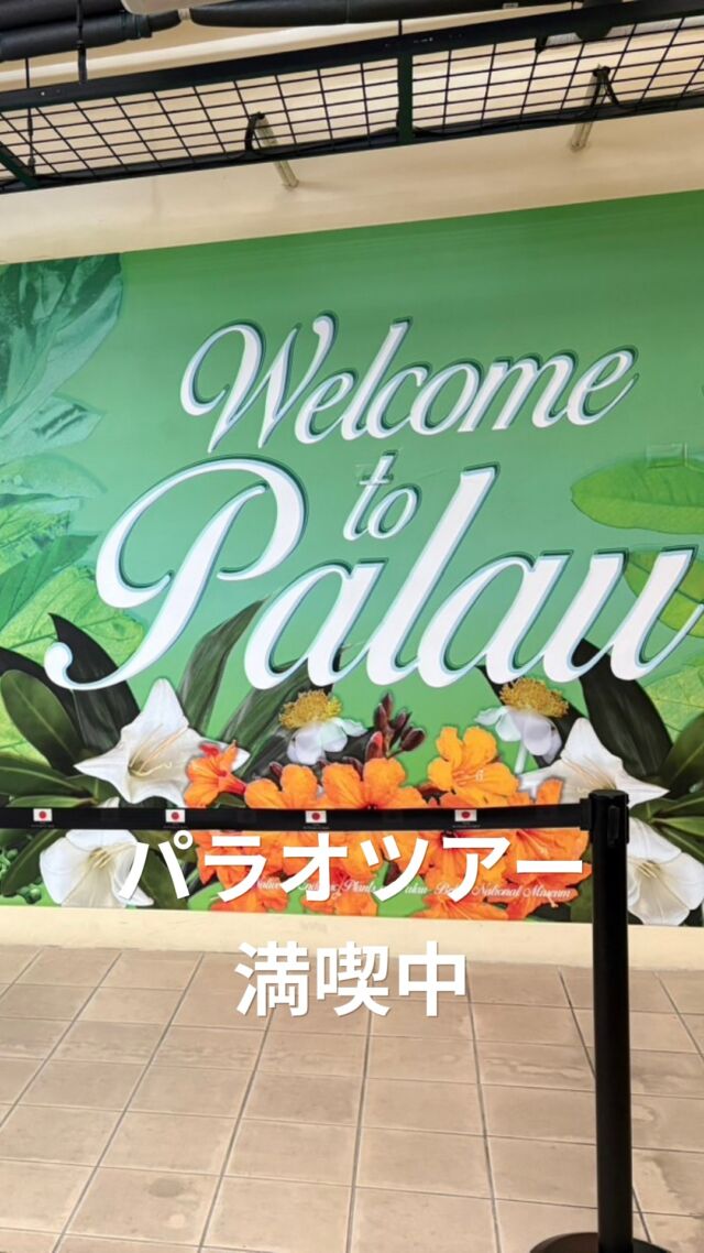 只今パラオツアー満喫中です(^^)/

出発前に写真や動画送ってくださいねと
岩崎さんにお願いしていましたが・・・

ツアー３日目、まだ写真や動画が届きません(T_T)
この写真と動画はお客様が送ってくださったものです(^^;)
帰国後のツアー報告、スタッフも楽しみにしています！

きっと全力でパラオツアー楽しんでいるんですね(^^)
ちょっと海の写真見たいな～(^^;)