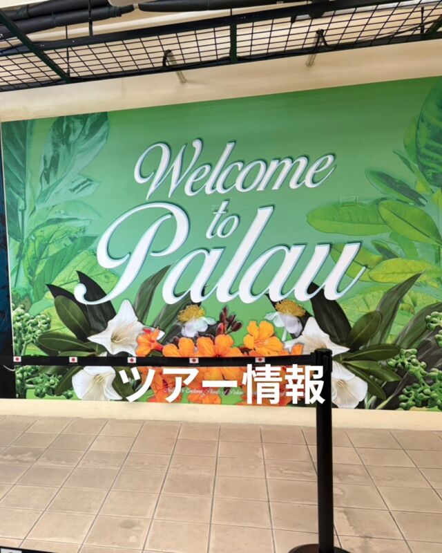 現在、岩崎さんはパラオツアー満喫中ですが、
週末も日帰りツアー開催します♪

現在募集中のツアー情報です🐟

3/29（日）平沢3ビーチ
4/2（木）獅子浜2ビーチ　講習と一緒
　　　　　11,000円（税込）
4/4（土）平沢2ビーチ　大瀬まつりの船が見れます
4/5（日）岩2ボート　ソフトコーラルもしゃもしゃ
4/11（土）堂ヶ島2ボート
4/12（日）八幡野1ボ1ビ

お問い合わせお待ちしております😆

 #ダイビングツアー 
#静岡ブルーコーナー 
#静岡ダイビングショップブルーコーナー 
#静岡ダイビングツアー