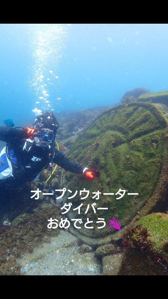 海洋講習2日目！

陸上でコンパスナビゲーションの練習をして
いざ海へ🌊

水面、水中でナビゲーションの実践😁

サルバやクラゲがいっぱいで
楽しみながら、スキル頑張りました✨

獅子浜ならではの真実の口😆
今日はガンガゼさんも居なくて
手を入れて写真撮れました🤣

オープンウォーターダイバー
おめでとうございます🎉

これから