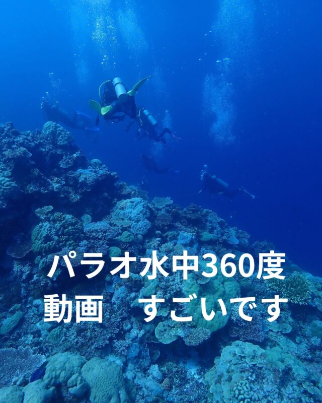 パラオにご参加いただいたお客様が
YouTubeチャンネルでパラオの水中動画を
アップしてくださいました(^^)/

スマホで見て頂くと360度見ることができ、
ダイビングしているような動画が見られます！！

ぜひチャンネル登録いただき
パラオダイビングの動画をご覧ください♪

https://www.youtube.com/@SoraumiTravel