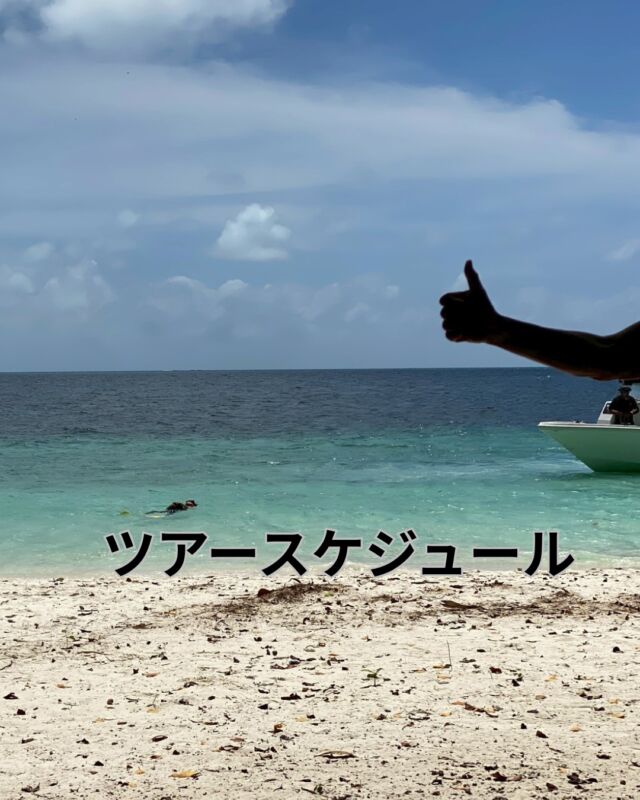 こんにちは

現在決定のツアー
募集中のツアーです　

4日に透明度が悪くなり
春濁り?始まったと思われましたが
5日は回復して大瀬崎の昨日の海況は
水温15～16度
透明度7～12ｍとまあまあです

4/11(土)　大瀬崎2ビーチ
　まだまだ浮遊系も楽しめそうです

4/12(日)　八幡野2ボート
　満員御礼・キャンセル待ち

4/16(木)　マーメイド練習会

4/18(土)　黄金崎2ビーチ
　感謝ディ価格　17,600円(税込)

4/19(日)　富戸2ボート
　柱状節理リベンジ

4/25(土)　田子2ボート

6月の沖縄ツアー、キャンセル出たので2名追加募集

詳しくはお問合せ下さい
宜しくお願い致します
