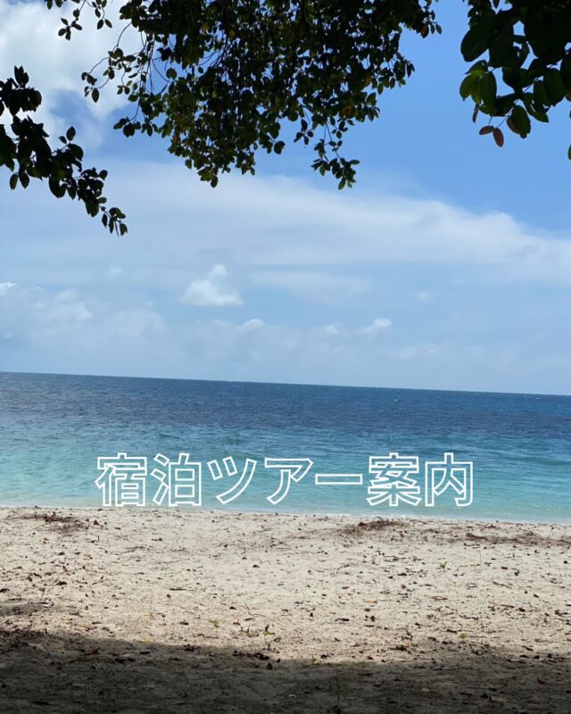 こんにちは
宿泊ツアーのご案内です
定員が決まっているツアーもありますので
お早めにお申し込みお願い致します

5/2(土)～4(月)　式根島
　満員御礼　キャンセル待ちお問合せ下さい

5/23(土)　ブルーコーナー周年祭
　沢山の人のご参加をお待ちしております
宜しくお願い致します

6/12(金)～15(月)　沖縄
エモンズ＆粟国島
お問合せ下さい

　
7/18(土)～20(月祝)　神津島
　受付中

　
8/8(土)～9(日)　本栖湖キャンプ
　本栖湖に潜つて、キャンプ
楽しいアウトドア企画です

　

9/19(土)～22(火祝)　連休の八丈
リピート率NO1ツアー
　受付中　

　
10/9(金)～12(月)　四国・柏島
　受付中

　
10/30(金)～11/2(月)　沖縄・慶良間
ダイビング　 　受付中
スノーケリング　受付中
　　

11/21(土)～23(月祝)　串本
　受付中

ご予約お万としております