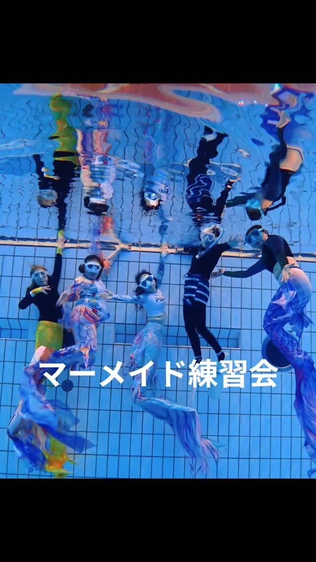 今月は5/10の母の日に
千葉でマーメイドショー✨

5/14にマーメイド練習会でした🧜‍♀️

今回のマーメイドショーは水温が低くめで
ちょっときゃ〜となっていましたが、
とてもお魚さん達がいい仕事をしてくれて
キラキラで素敵でした😁

観に来てくださった皆様、
一緒に泳いでくれたマーメイドさん、
いつも支えてくださっているスタッフさん
本当にありがとうございます🙇

練習会は今回7人のマーメイドさん🧜‍♀️

広くて深いプールは気持ち良く
のびのびいろんな練習ができます✨

6月と7月でアドバンスマーメイド講習の予定なので、
みんなで楽しく頑張りましょう😆

#静岡ダイビング 
#マーメイド 
#マーメイドスイム 
#静岡ブルーコーナー