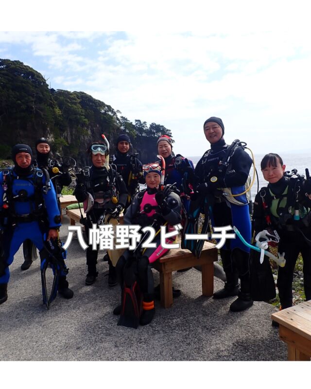 ひさしぶりに八幡野で潜ってきました

前日、透明度15メートルとの情報に
ワクワクしていきましたが

風向きが変わった事で透明度激変
2～3メートルと春濁りの海でした

でも、楽しいポイントです
また行きたいと思います

#静岡ダイビングショップブルーコーナー
#静岡ブルーコーナー
#ダイビングツアー
#八幡野ダイビング
#東伊豆ダイビング
#スノーケリング