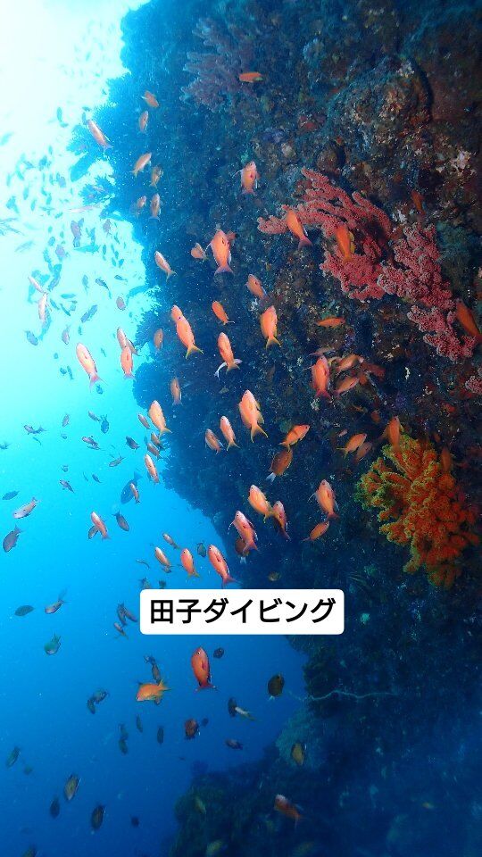 Instagram 投稿 18117933490729807