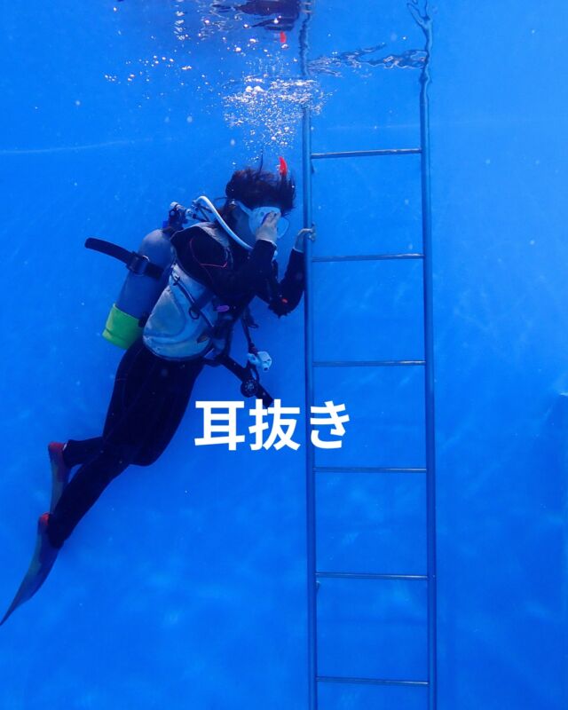 これから夏に向けそろそろ冬眠から目覚めて
ダイビングを始める方もいらっしゃると思います。

久しぶりにダイビングに行く前に耳抜きがちょっと心配な方へ

陸上でも練習できます(^^)

① バルサルバ法（基本）
鼻をつまんで、鼻に軽く空気を送り込みます。
「ふんっ」と強くやるのではなく、
じわっと優しく圧をかける感覚をつかむ練習をしましょう。

② フレンツェル法（上級者向け）
鼻をつまんだまま、舌を「K」や「G」の発音をするように
喉の奥に押し上げる方法です。
慣れるまで時間がかかりますが、
陸上でじっくり練習するのに向いています。

③ 顎を動かす・あくびをする
トイネビー法とも呼ばれ、唾を飲み込みながら顎を動かすと
耳管が開きやすくなります。
意識せずできるようになると水中でもとても役立ちます。

練習のポイント
・「耳がポコっとする感覚」を陸上で何度も確認しておくと、
水中でも安心感が違います。

・力を入れすぎると耳を傷めるリスクがあるため、
常に優しく・小さな力でを意識してください。

・鼻づまりや体調不良のときは練習も控えましょう。

無理をせず、徐々に練習して
安全にダイビングを楽しんでくださいね♪
　
 #静岡ダイビング 
#静岡ブルーコーナー 
#ダイビング 
#耳抜き