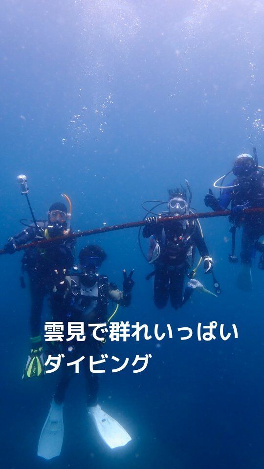 雲見で群れいっぱいダイビング🤿

アドバンス講習とファンダイビング🛥️

水温18〜19℃
透視度は浮遊物いっぱいで白っぽい感じでしたが、
10mくらい

1本目も2本目もいろんな群れがいっぱい🐟
いつものキンメモドキは洞窟から溢れ、
通路までぐっちゃり✨

後ろ振り返るとすぐに
キンメモドキの壁が🤣

他にもアジ、キビナゴ、ムツなどなど
いろんな魚が入り混じっていて
魚の見分け方の講習も楽しかったです😊

お昼ご飯は途中で気になったカフェへ🍽️
御当地、なんか揚げを挟んだ
なんかバーガー🍔
裏にびわもなっていて、
甘いびわも頂きました🤤
美味しかった〜🍴

#静岡ダイビング 
#ダイビング 
#ダイビングスクール 
#静岡ブルーコーナー 
#雲見