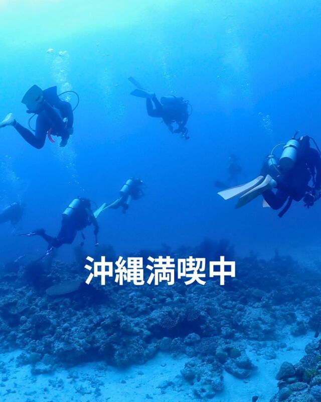 昨日から沖縄ツアー✨

沖縄の青い海の写真をいっぱい
お客様がシェアしてくださっています😁
岩崎さんからは届きませんが・・・😂

今日はエモンズ潜ってこられたようなので、
写真楽しみに待っています😎

ツアーの報告は岩崎さんが帰って来てから
たぶんご報告します😅

 #静岡ブルーコーナー 
#静岡ダイビング
 #静岡ダイビングツアー 
#沖縄ダイビング