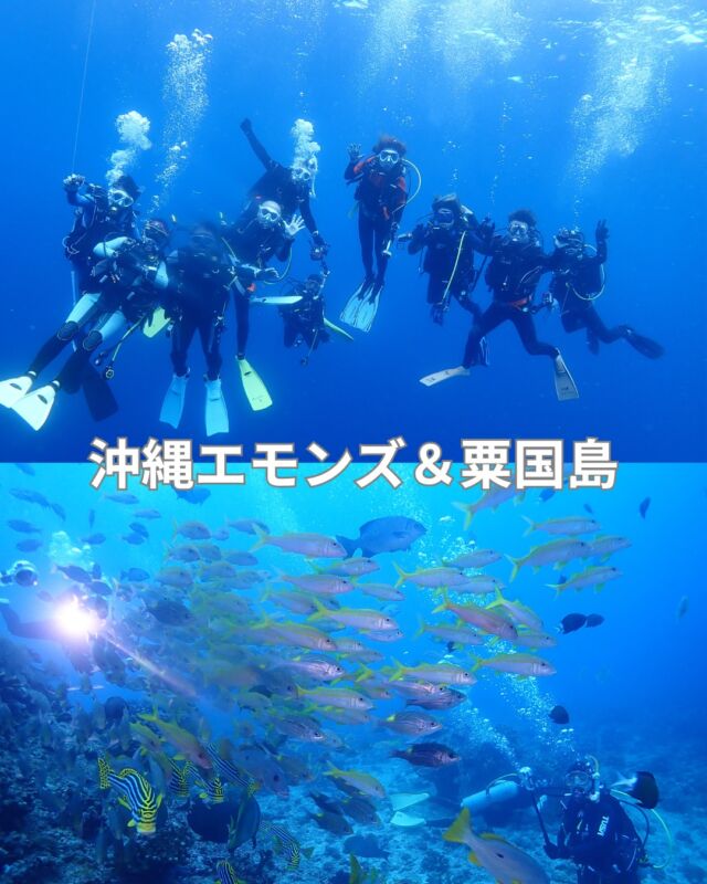 今回の沖縄で潜ったポイント
1日目　
　1本目　神山ラビリンス
　2本目　クエフ北・竜宮城
2日目
　1本目　エモンズ　船首-中央
　2本目　エモンズ　船尾-中央
3日目
　1本目　黒島北
　2本目　男岩・ウガン
　3本目　沖山礁・ウチザン

楽しかったー

#エモンズダイビング
#沖縄ダイビング
#沖縄ダイビング ツアー
#静岡ブルーコーナー
#静岡ダイビング
#静岡ダイビングツアー
#沖縄ダイビング