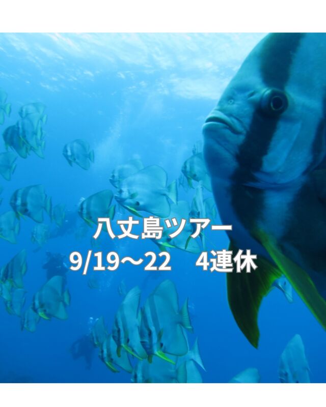 9月の4連休

八丈島の飛行機
団体で抑える為名前が必要です
7月10日までにお申し込みのお客様
既に申し込んでいるお客様は5,000円の早割りをいたします

しまぽ通貨も使えるので
14,000円お安く行けます

詳しくはお問合せ下さい

#八丈島ダイビング
#9月連休八丈
#静岡ダイビングツアー
#ブルーコーナー
#ダイビングスクール
#ダイビングライセンス