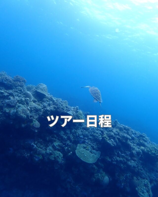 こんにちは
本格的なウエットシーズンとなりました

ツアーのご案内です

6/27(土)　
神子元2ボート　ハンマー出てます
空き　2名

7/4(土)
大瀬崎感謝ディ
空きあり

7/5(日)
ヒリゾ浜　今季初
空きあり
　
7/18(土)
初島　
空きあり

7/19(日)
獅子浜　2ビーチ
空きあり

7/20(月)
神子元　
空きあり

7/24(金)
熱海2ボート
空きあり

7/25(土)
神子元2ボート
空き1名

7/26(日)
ひりぞスノーケリング
空き1名

以上は決定しているツアーです
上記以外もリクエスト受付中

#静岡ダイビング
#静岡ブルーコーナー
#静岡ダイビングツアー
#静岡ダイビングライセンス
#ダイビングスクール
#ダイビングライセンス