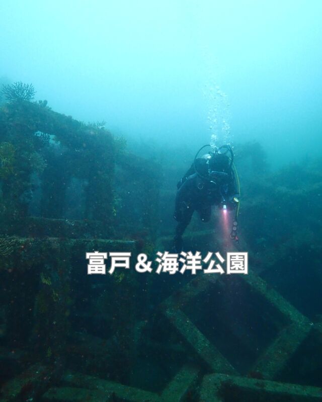 週末は2日連続で東伊豆に行ってきました
土曜日は富戸でボートダイビング
日曜日は海洋公園で3ビーチ
ランチは2日連続で
『アジアンオールドバザールIZU』さんへ
同じメニューを頼んでしまった
A型だなー

#静岡ダイビング
#静岡ダイビングショップ
#静岡ブルーコーナー
#ダイビング
#ダイビングライセンス 
#海洋公園
#富戸ダイビング
#アジアンオールドバザール