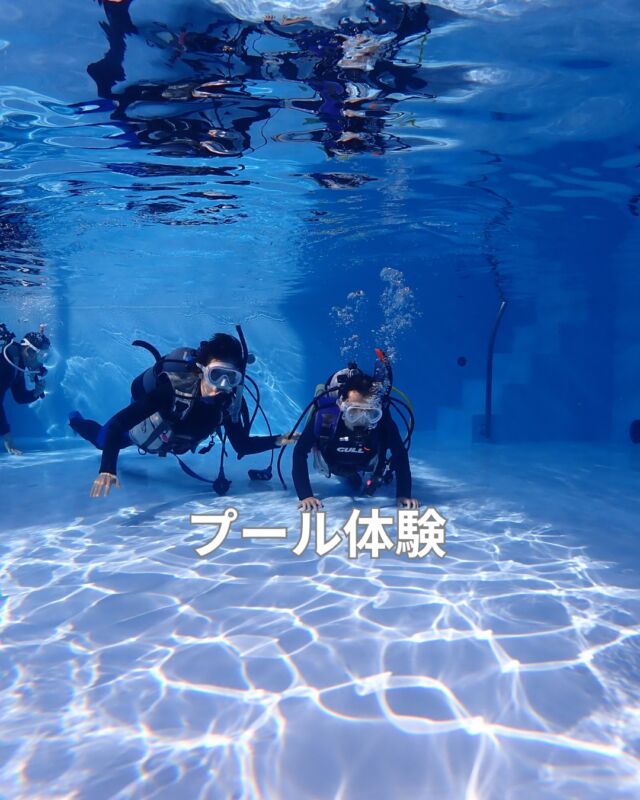 今日は3名のお客様がヒリゾツアーの前に
プール講習に来てくれました
　
最近シュノーケリングでの事故が増えています

是非、ブルーコーナーのプールをご利用ください
　
他店ダイビングショップ様
フリーのインストラクター様
一般のお客様などの練習(個人)の
プールの貸し出しなどもやっております

海に行く前に是非ご利用下さい

#静岡ダイビングプール
#シュノーケリング 
#スノーケリング
#ダイビングプール
#ダイビングプール貸し出し
#プール練習
#静岡ダイビング
#静岡ダイビングショップ
#静岡ブルーコーナー
#ダイビング
#ダイビングライセス