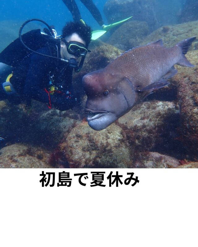初島で潜ってきました

熱海から船で20分くらいで着く
島です

海況はウネリあり
水温22～25度
透明度10～12ｍ

早くウネリが収まりのんびり潜りたいよー

#静岡ダイビング
#ダイビングツアー
#初島ダイビング
#ブルーコーナー
#夏休みダイビング