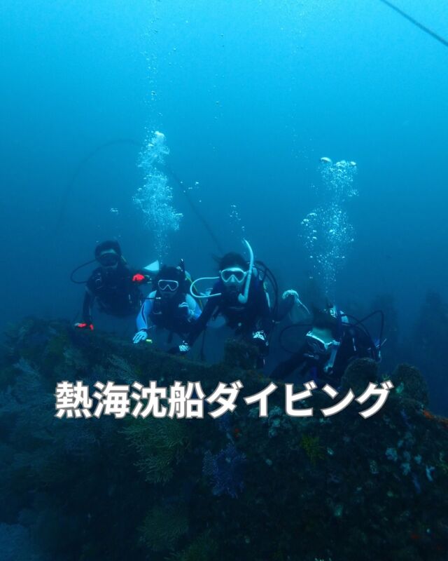 熱海の沈船で潜ってきました

これからの時期は水温もあがり
透明度も良くなります
　
沈船も船体が良く解り迫力満点です
　
沈船だけでなくソフトコーラルも凄いです

#静岡ダイビング
#ダイビングツアー
#ダイビング
#アドバンスコース
#熱海ダイビング