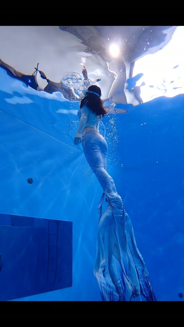 先日マーメイドショーを観に来てくださったお客様が
今日はマーメイドになりに来てくださいました🧜‍♀️

はじめてのマーメイドスイムでしたが、
事前準備ばっちりでちゃんとマーメイドになれました✨

これから滑らかに泳ぐ練習していきましょう😁

次回はマーメイドらしく
自由に遊び回る練習です🧜‍♀️

楽しみながら頑張りましょう😆

#マーメイド
#マーメイドスイム 
#マーメイドライセンス 
#静岡ブルーコーナー