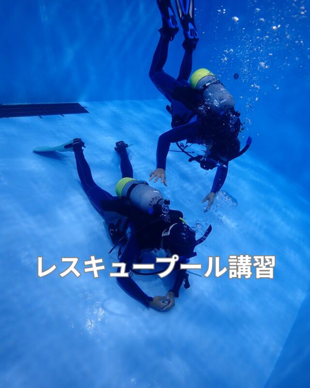 昨日はレスキューのプール講習でした

私はまだ人を助けられるレベルでは無いので
レスキューコースは・・・・

と言われる方がいますが
レスキューコースき人を助ける為だけのコースではありません

自分がレスキューされない為のコースでもあります

機会があれば是非ご参加ください

#efr
#救急救命法
#PADIレスキューダイバー
#レスキューダイバー
#静岡ダイビングツア