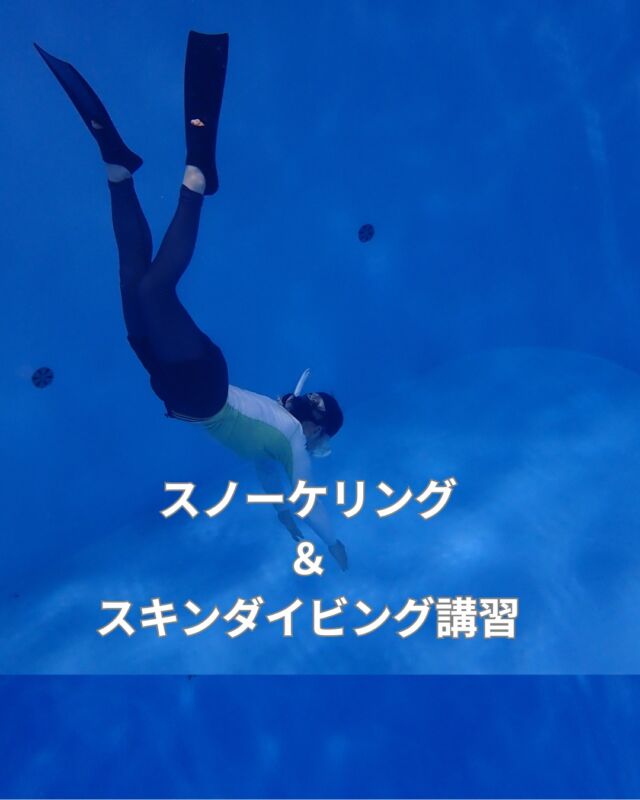 スノーケリング
スキンダイビング
安全に楽しくやる為に
是非　講習受けて下さい
　
#ダイビングプール
#温水プール
#シュノーケリングプール
#スノーケリングプール
#プール練習
#プール講習
#プール貸し出し
#静岡ダイビングショップ
#静岡ダイビング
#静岡ブルーコーナー
#ダイビングツアー