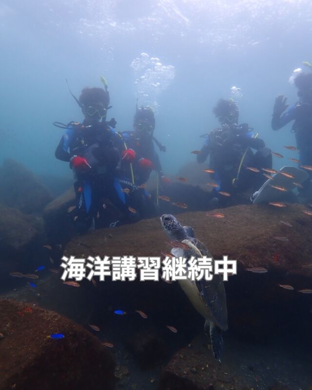 海洋講習が昨日で終了しました
4日も一緒にいると別れるのが寂しくなります

来週からは、また新しい生徒様との出会いが始まります
　
思い出に残る4日間になるように
安全に楽しくやりましょう
　

#水産高校ダイビング
#平沢ダイビング
#大瀬崎ダイビング
#静岡ブルーコーナー
#静岡ダイビングショップ
#ダイビング
#伊豆ダイビングツアー
#静岡ダイビング
#静岡ブルーコーナー
#静岡ダイビングショップ
#ダイビング資格
#PADI
#ダイビングライセンス